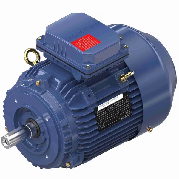 1.1 Kw General Purpose Low Voltage Iec Motor, 3 Phase, 1200 Rpm, R617, Marathon, Mfr#: R617